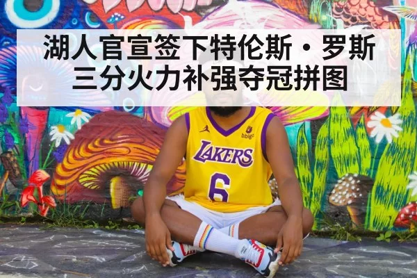 湖人官宣签下特伦斯·罗斯 三分火力补强夺冠拼图 - bandaoyule